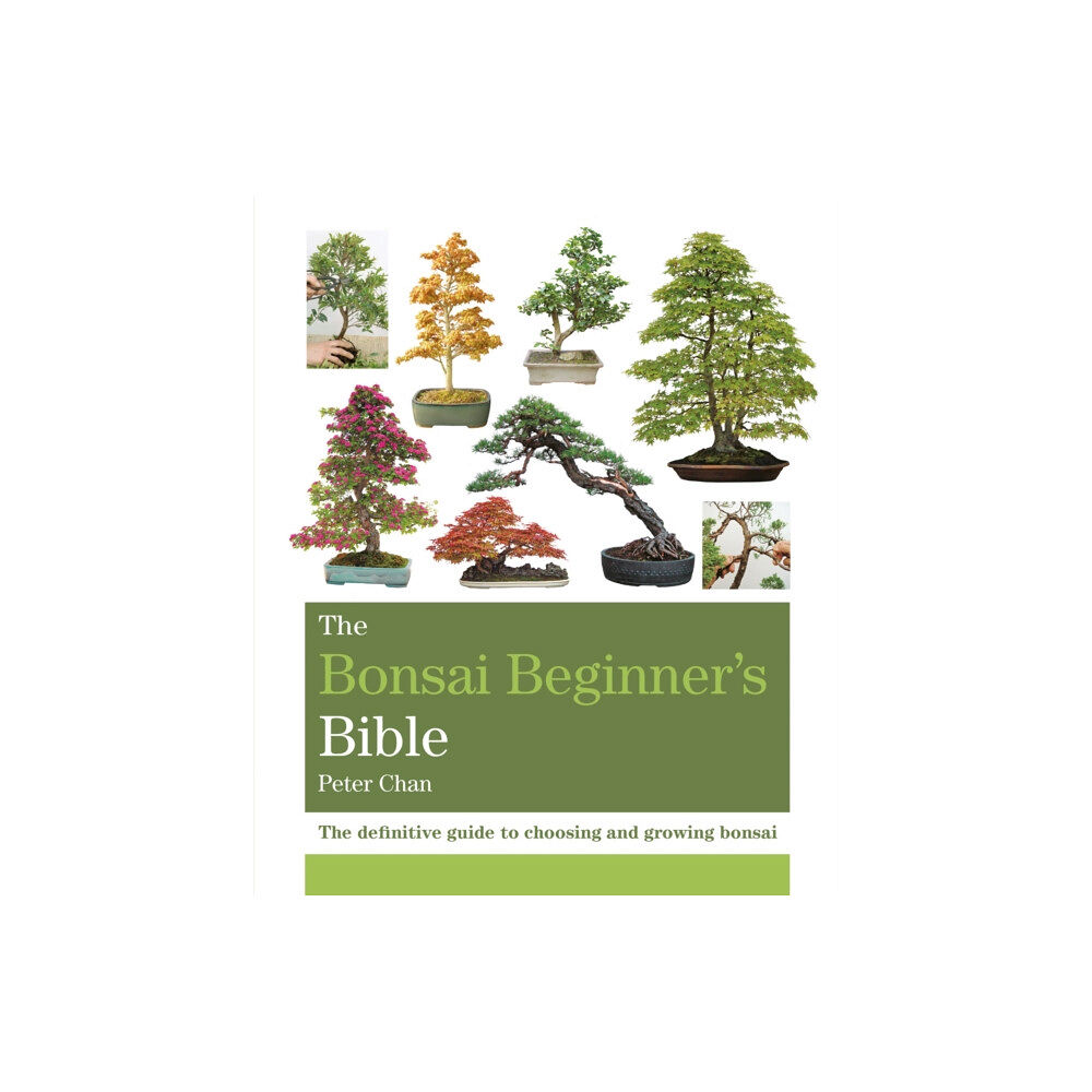 Octopus publishing group The Bonsai Beginner's Bible (häftad, eng)