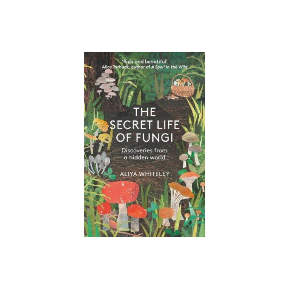 Elliott & Thompson Limited The Secret Life of Fungi (häftad, eng)