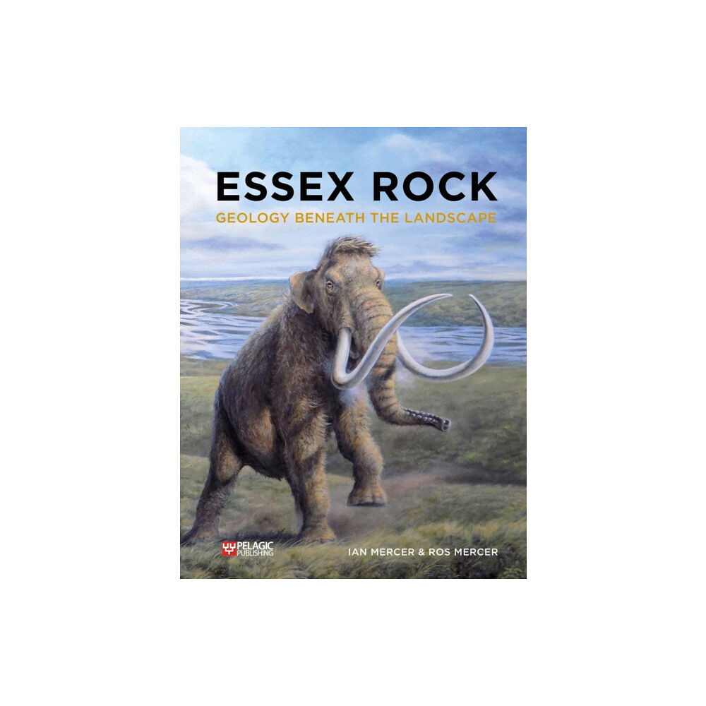 Pelagic Publishing Essex Rock (häftad, eng)