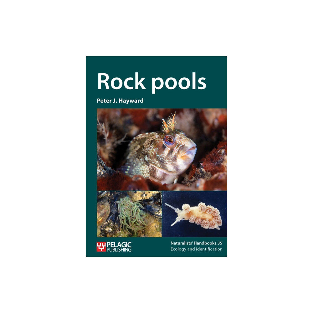 Pelagic Publishing Rock pools (häftad, eng)