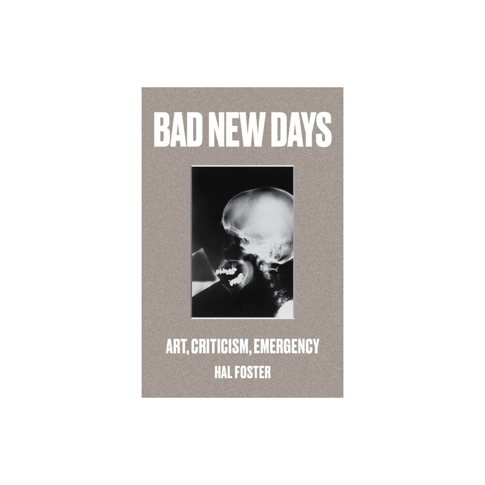 Verso Books Bad New Days (häftad, eng)
