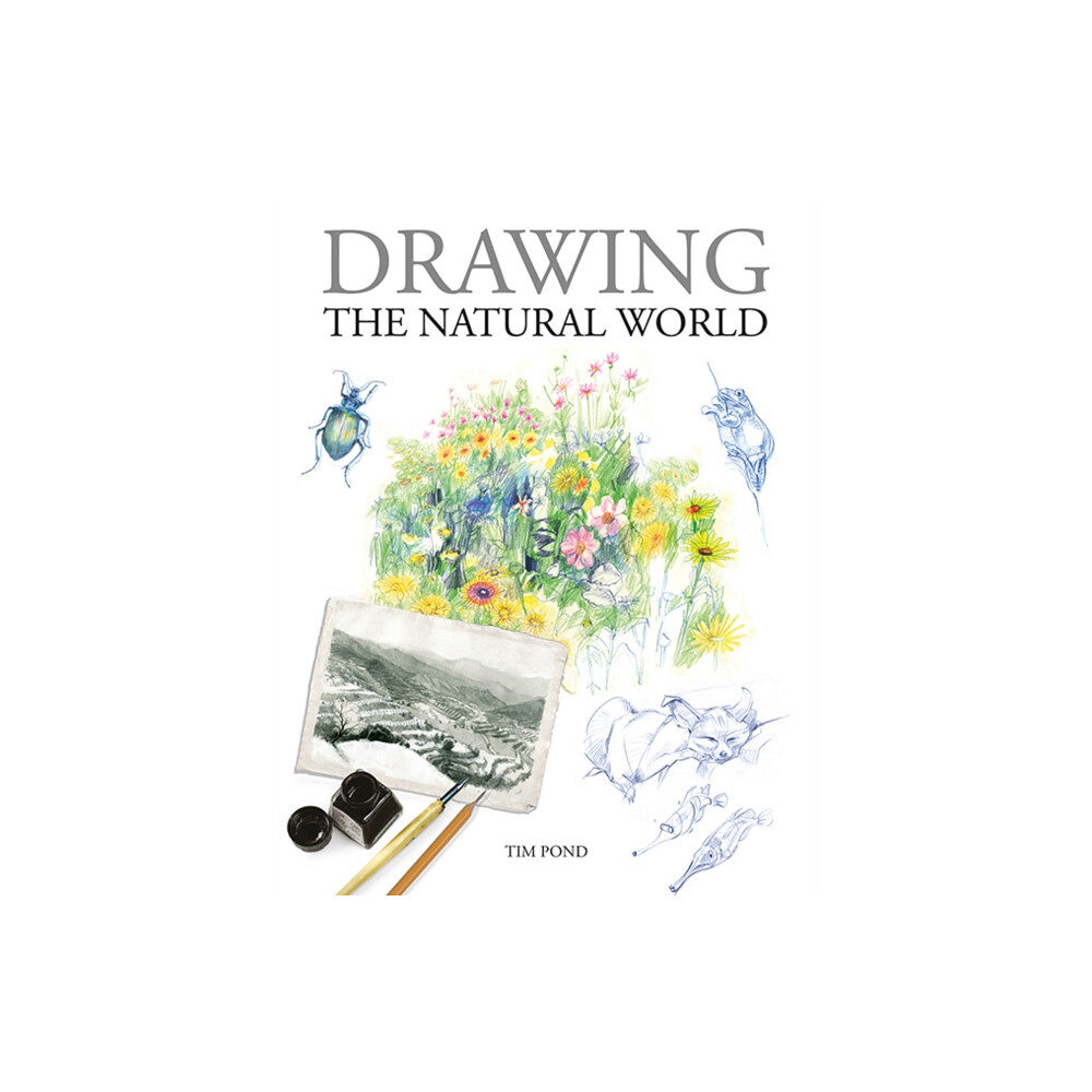 GMC Publications Drawing the Natural World (häftad, eng)