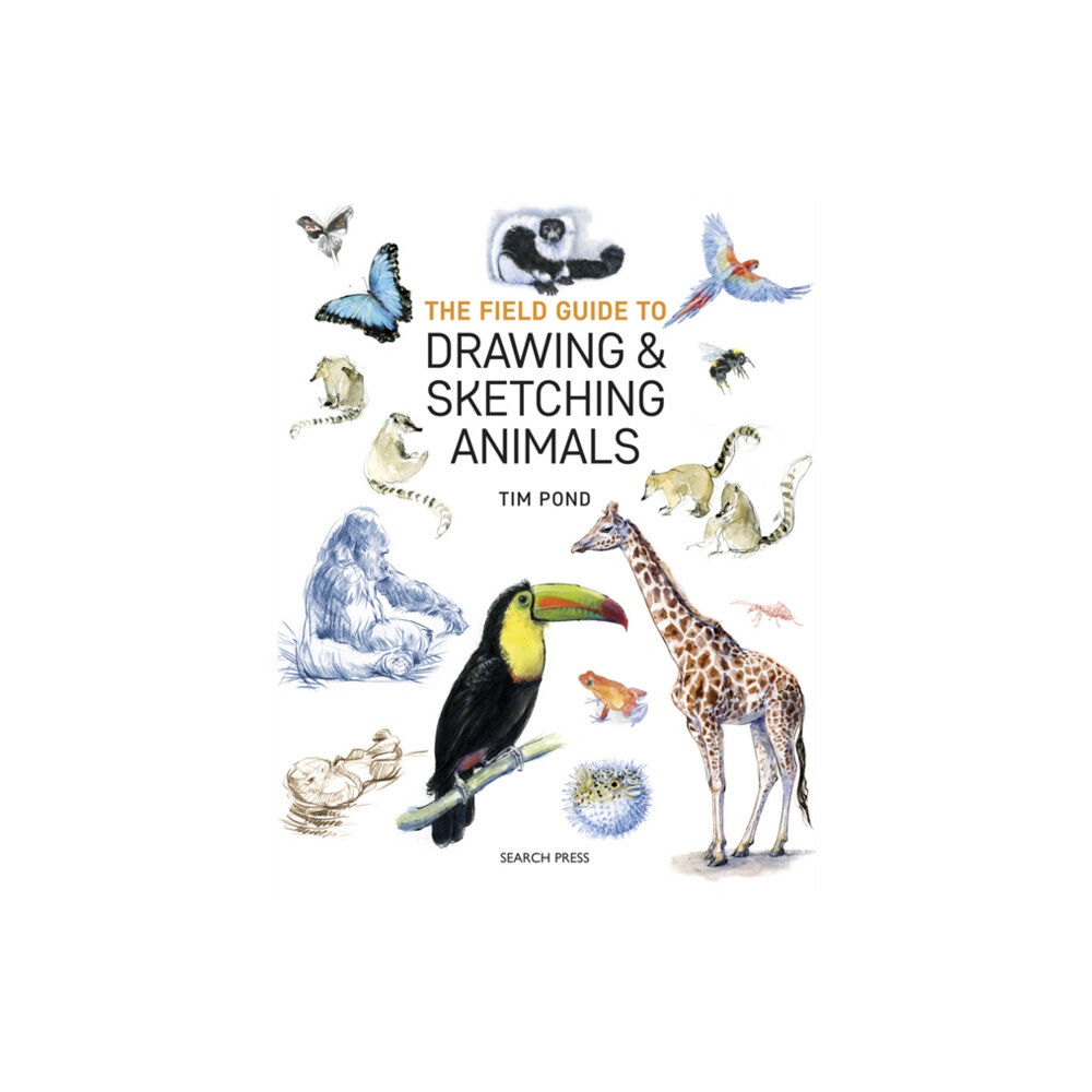 Search Press Ltd The Field Guide to Drawing & Sketching Animals (häftad, eng)