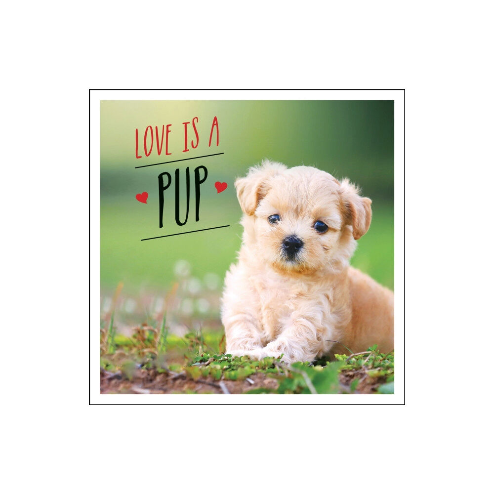 Octopus publishing group Love is a Pup (inbunden, eng)