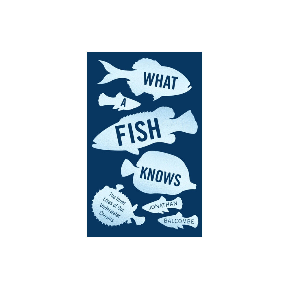 Oneworld Publications What a Fish Knows (häftad, eng)