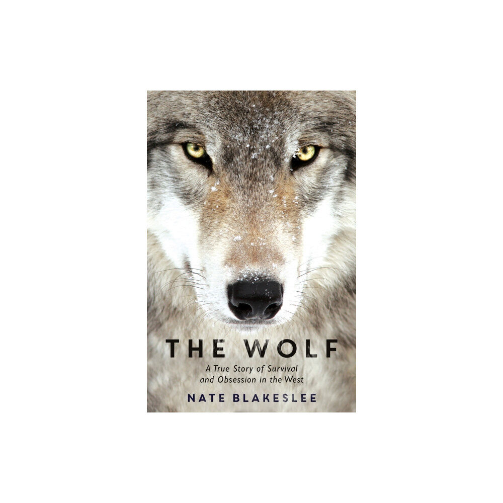 Oneworld Publications The Wolf (häftad, eng)