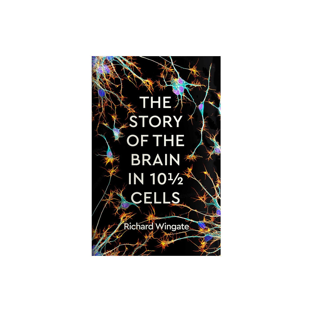 Profile Books Ltd The Story of the Brain in 10½ Cells (inbunden, eng)