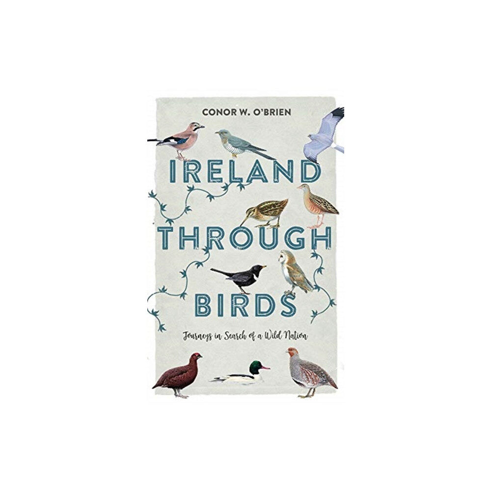 Merrion Press Ireland Through Birds (häftad, eng)