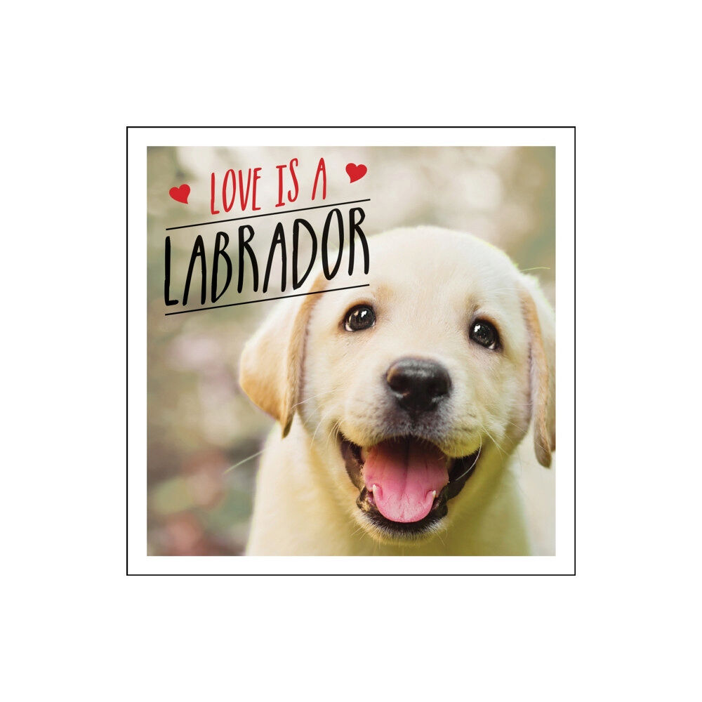 Octopus publishing group Love is a Labrador (inbunden, eng)