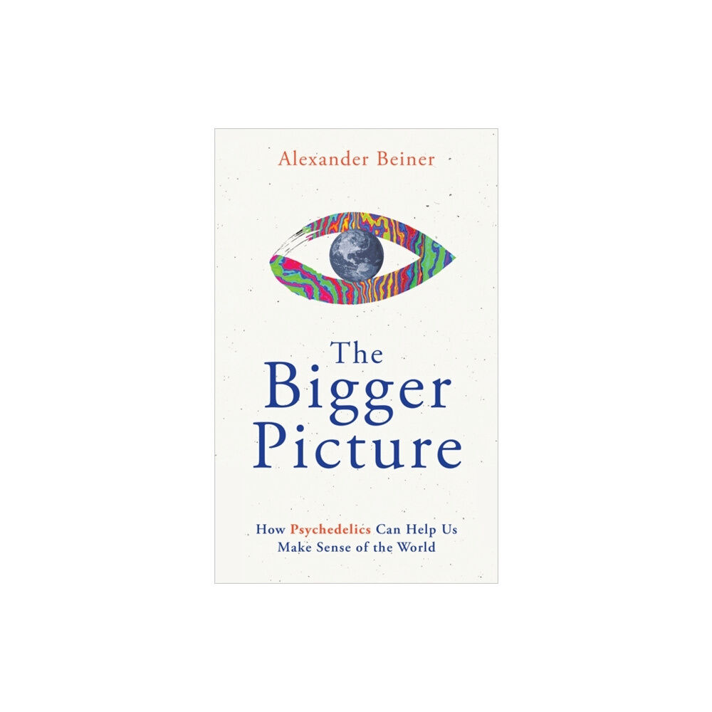 Hay House UK Ltd The Bigger Picture (häftad, eng)