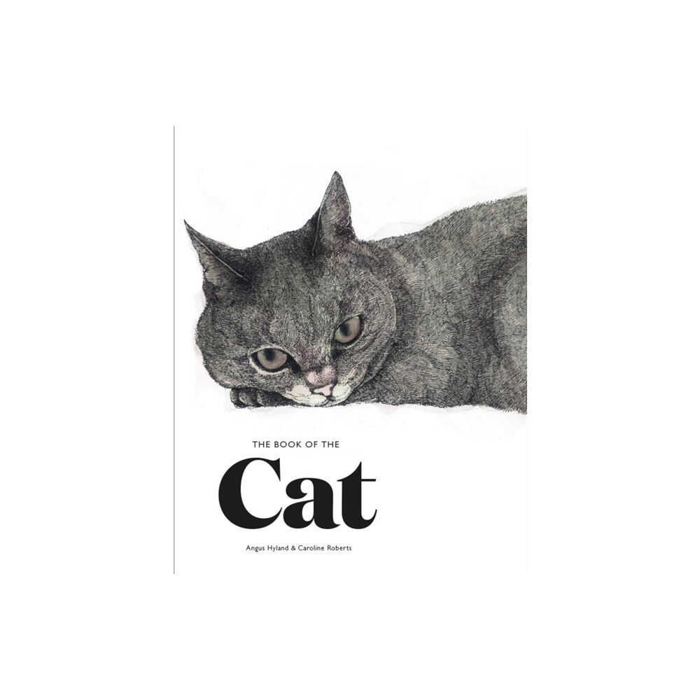 Orion Publishing Co The Book of the Cat (häftad, eng)