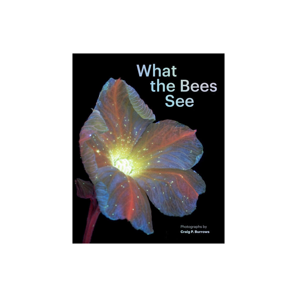 Chronicle Books What the Bees See (inbunden, eng)