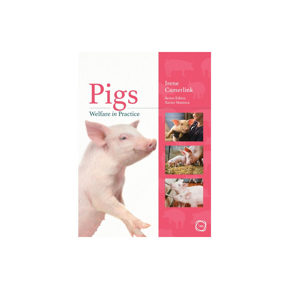 5M Books Ltd Pigs Welfare in Practice (häftad, eng)