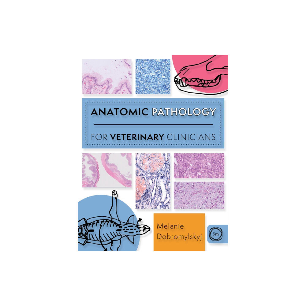 5M Books Ltd Anatomic Pathology for Veterinary Clinicians (häftad, eng)