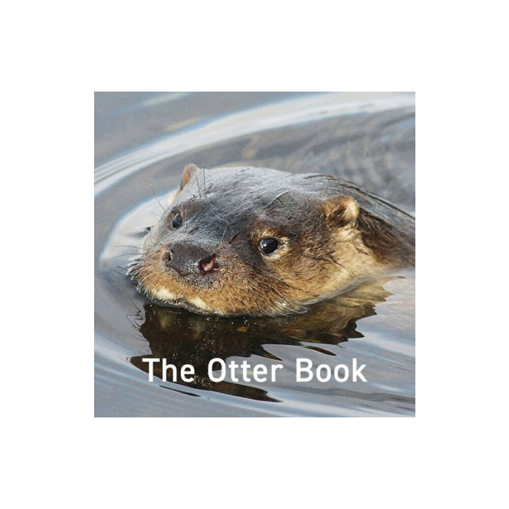 Graffeg Limited Otter Book, The (inbunden, eng)