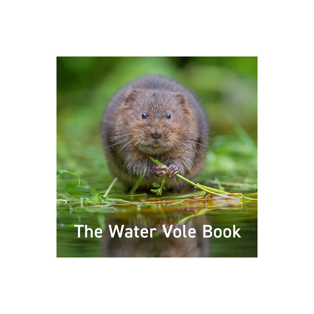 Graffeg Limited Water Vole Book, The (inbunden, eng)