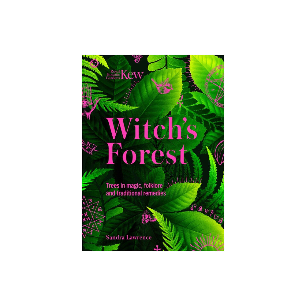 Headline Publishing Group Kew - Witch's Forest (inbunden, eng)