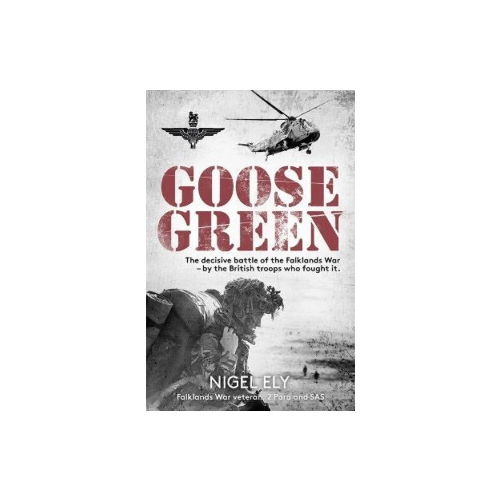 John Blake Publishing Ltd Goose Green (häftad, eng)