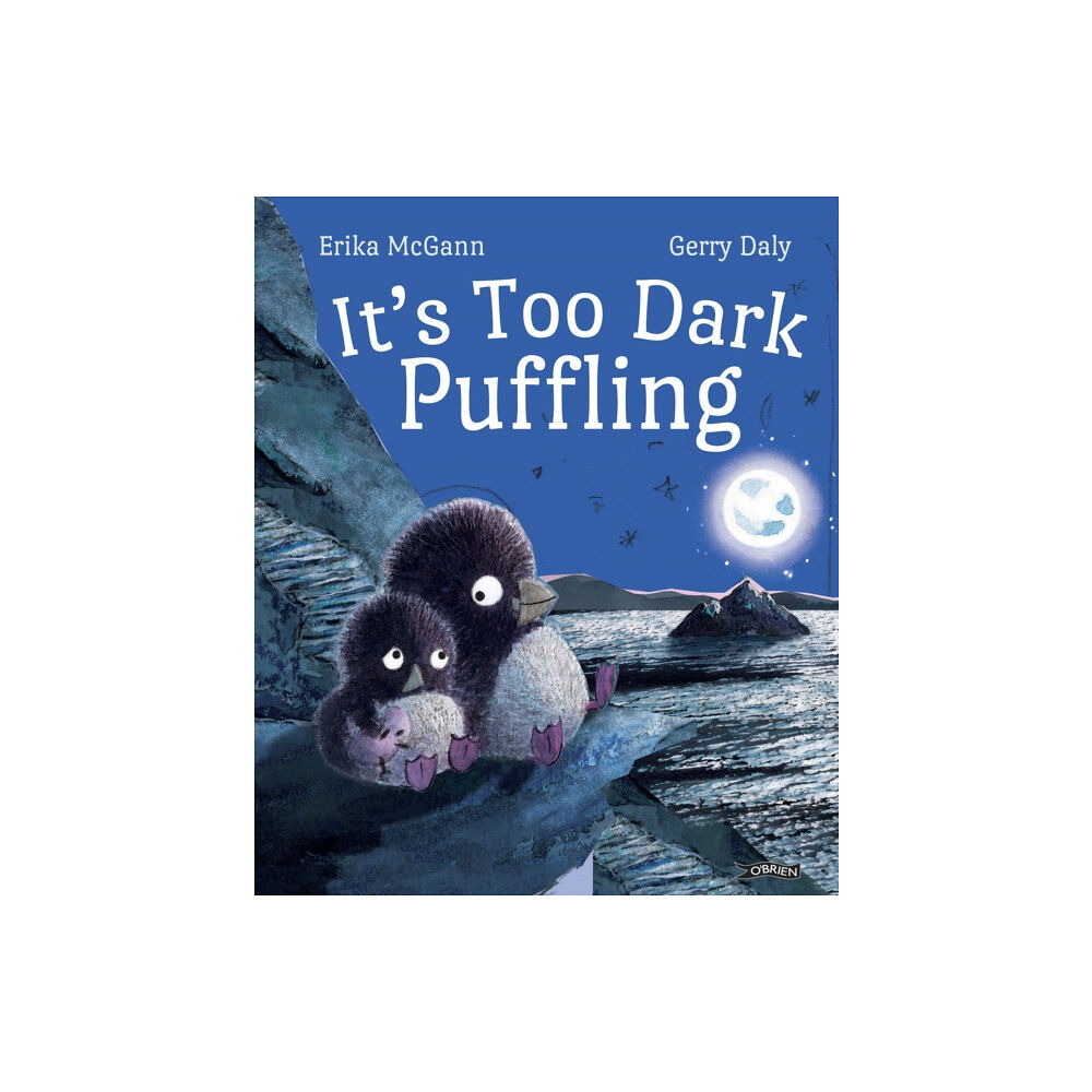 O'Brien Press Ltd It's Too Dark, Puffling (inbunden, eng)