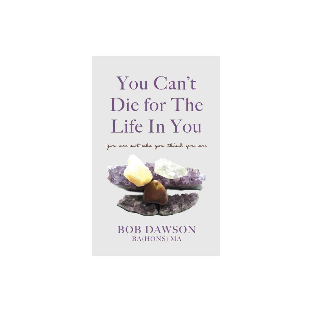 Troubador Publishing You Can't Die for The Life In You (häftad, eng)