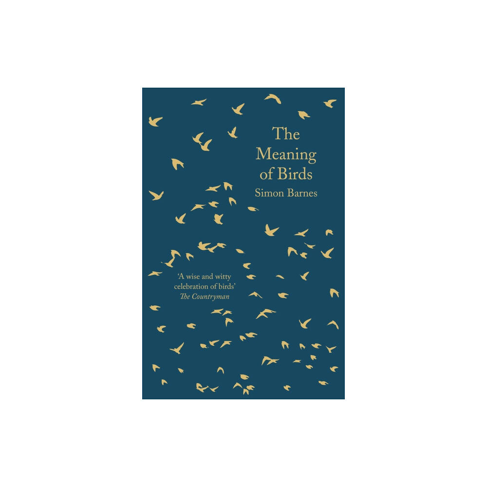 Bloomsbury Publishing PLC The Meaning of Birds (häftad, eng)