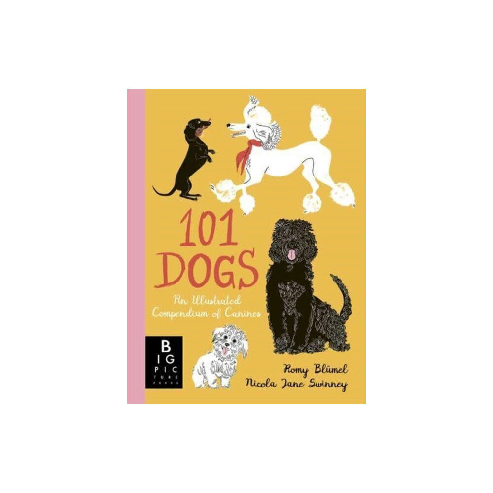 Templar Publishing 101 Dogs (inbunden, eng)