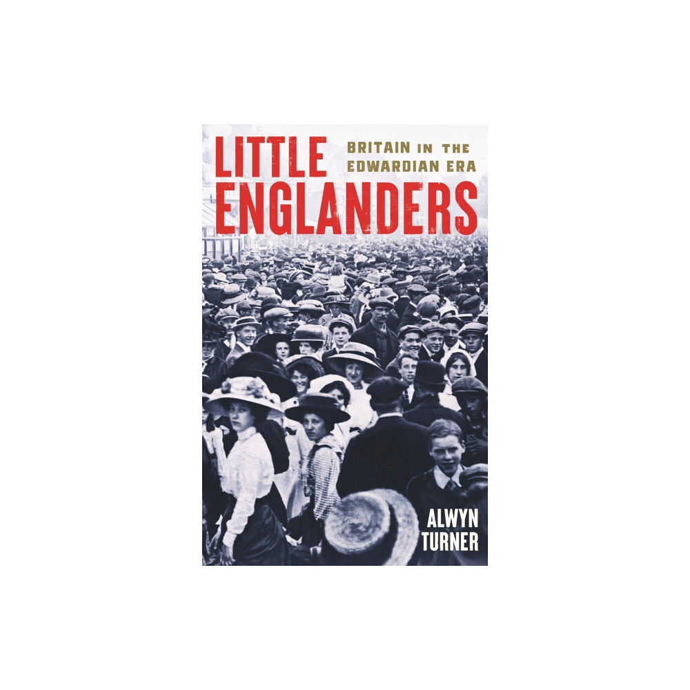 Profile Books Ltd Little Englanders (inbunden, eng)