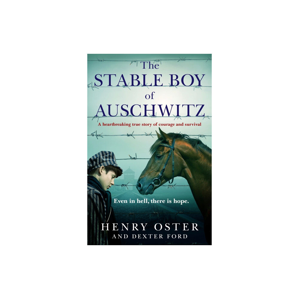 Octopus publishing group The Stable Boy of Auschwitz (häftad, eng)