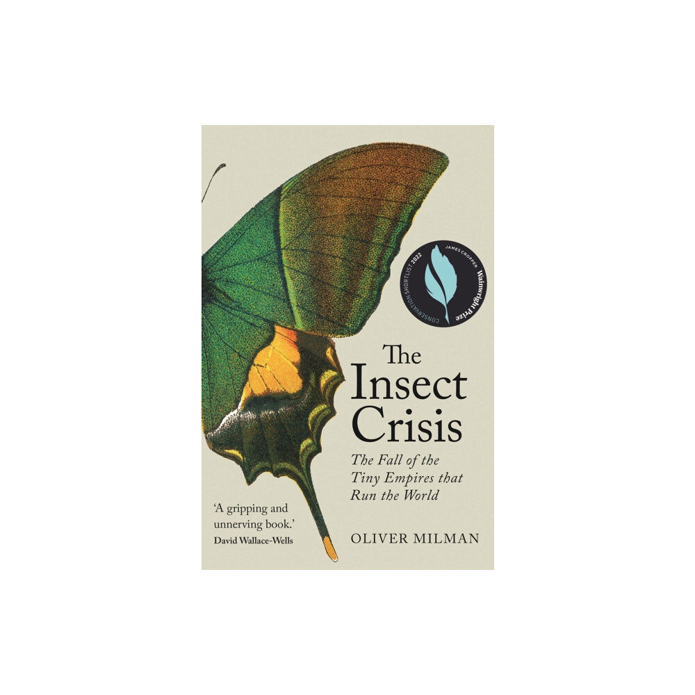 Atlantic Books The Insect Crisis (inbunden, eng)