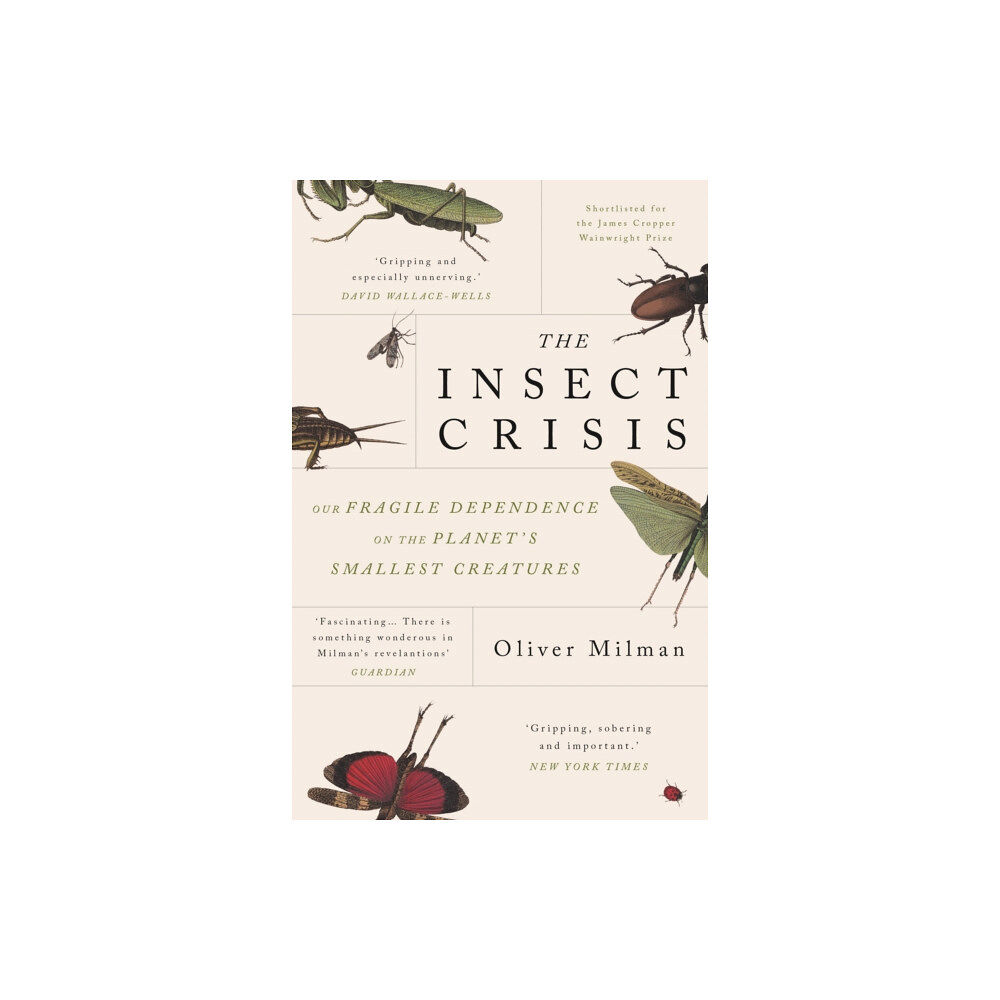 Atlantic Books The Insect Crisis (häftad, eng)