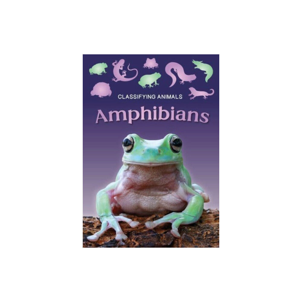 BookLife Publishing Amphibians (häftad, eng)