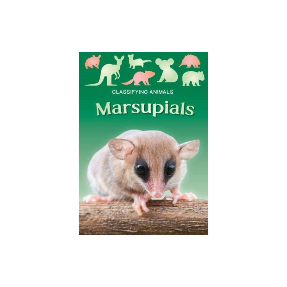 BookLife Publishing Marsupials (häftad, eng)