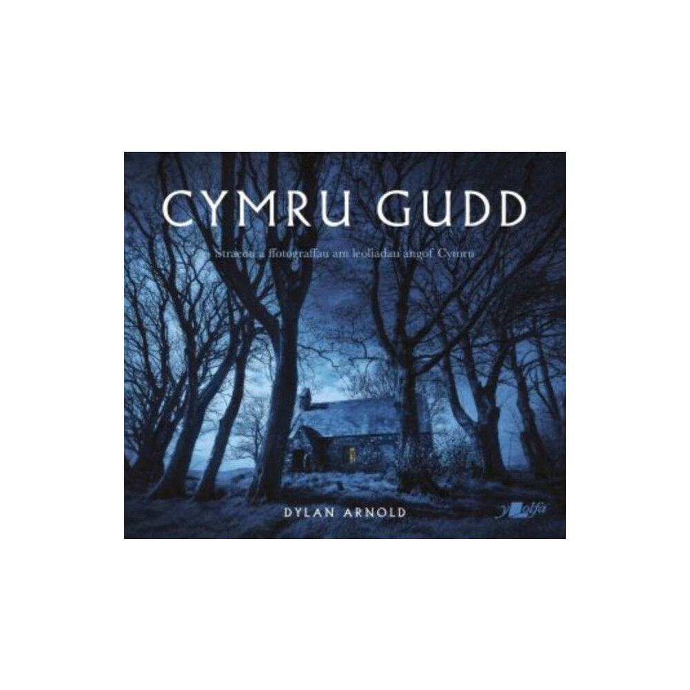 Y Lolfa Cymru Gudd (häftad, wel)