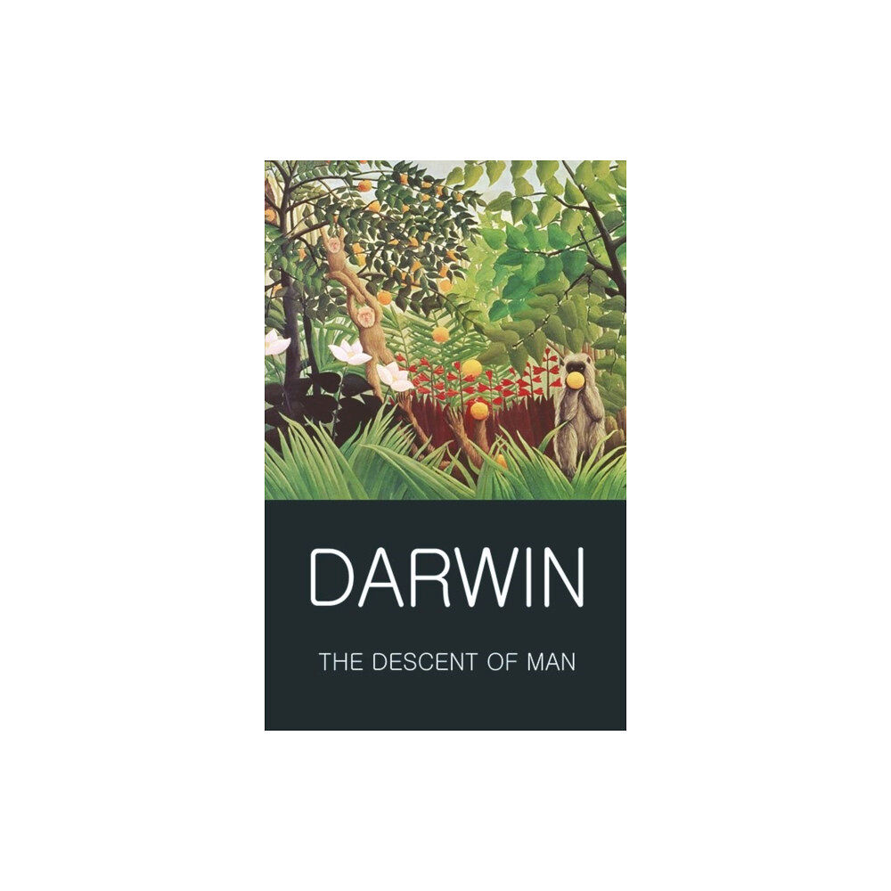 Wordsworth Editions Ltd The Descent of Man (häftad, eng)