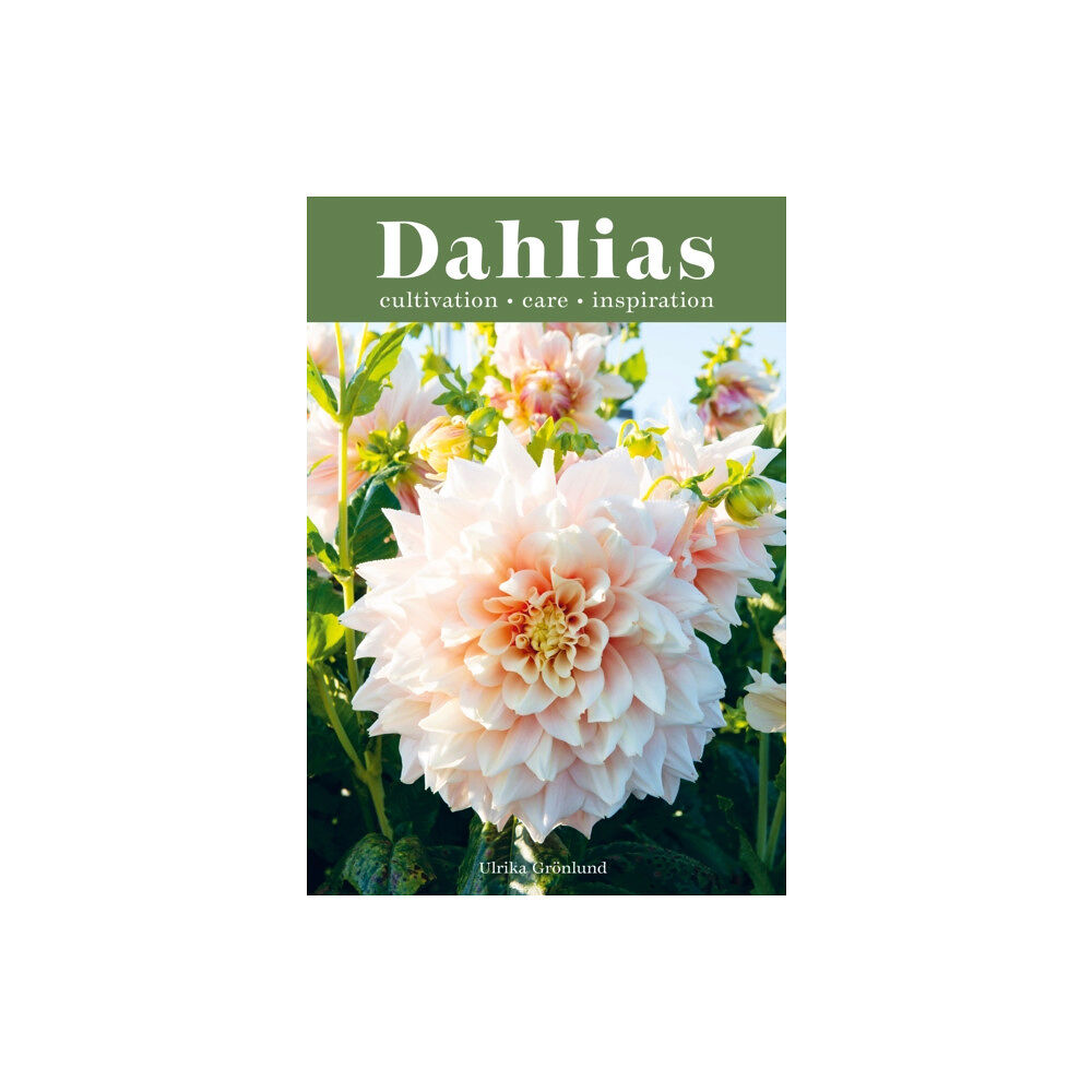 Quadrille Publishing Ltd Dahlias (inbunden, eng)