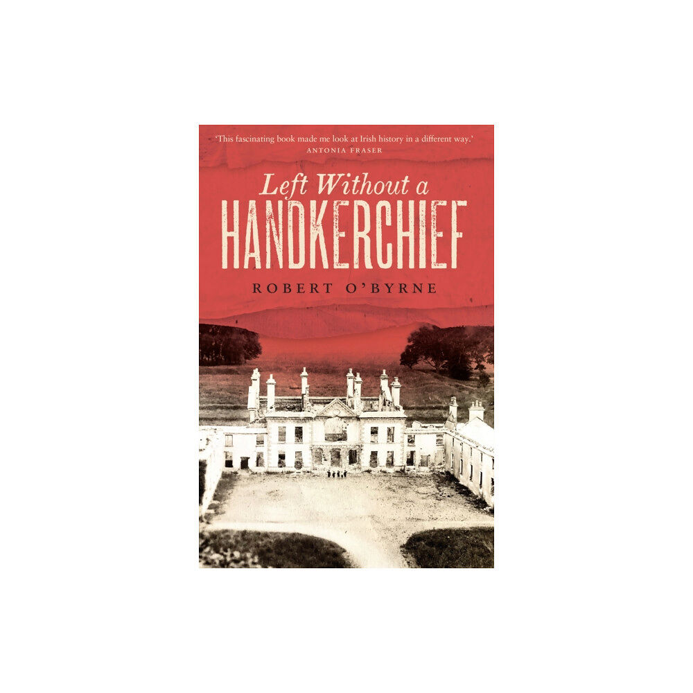 The Lilliput Press Ltd Left Without A Handkerchief (häftad, eng)