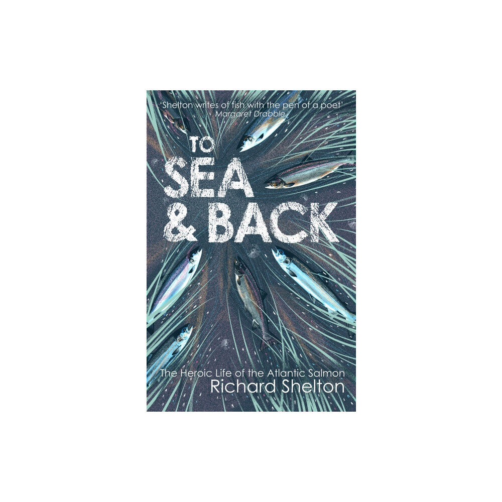 Atlantic Books To Sea and Back (häftad, eng)