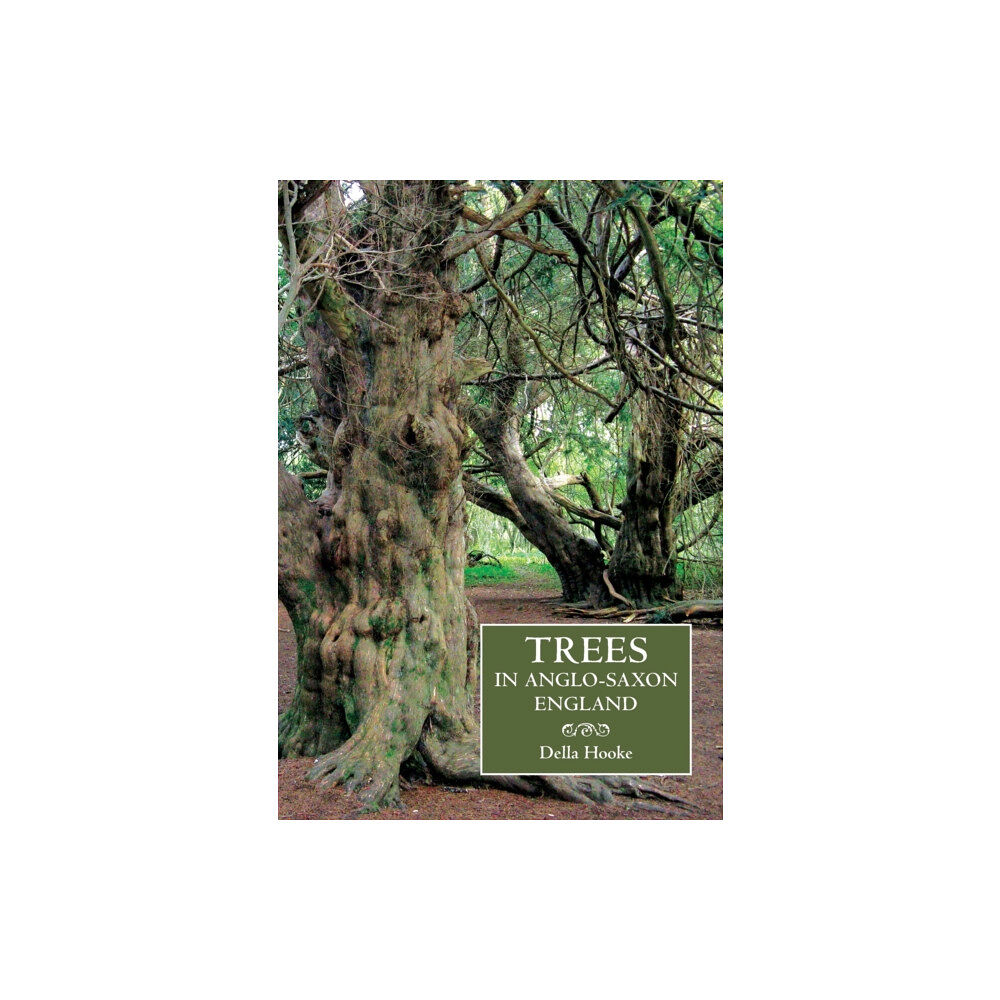 Boydell & Brewer Ltd Trees in Anglo-Saxon England (häftad, eng)