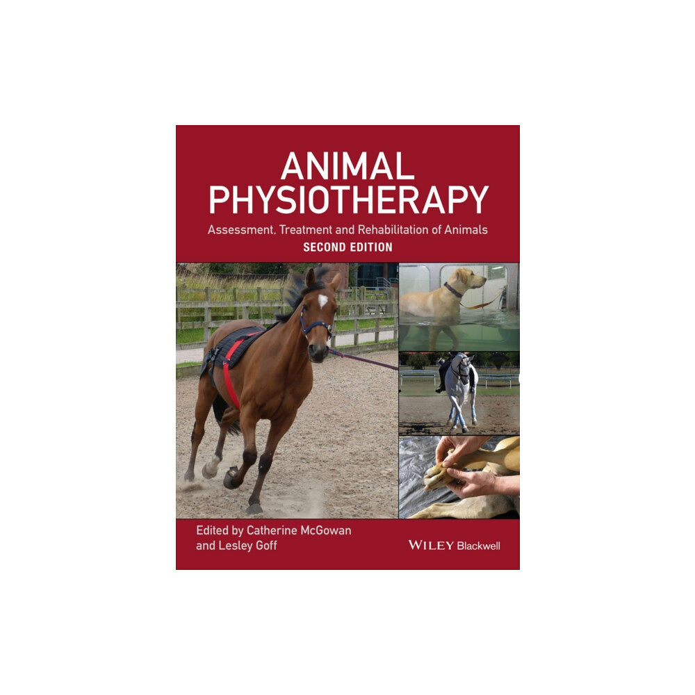 John Wiley And Sons Ltd Animal Physiotherapy (häftad, eng)