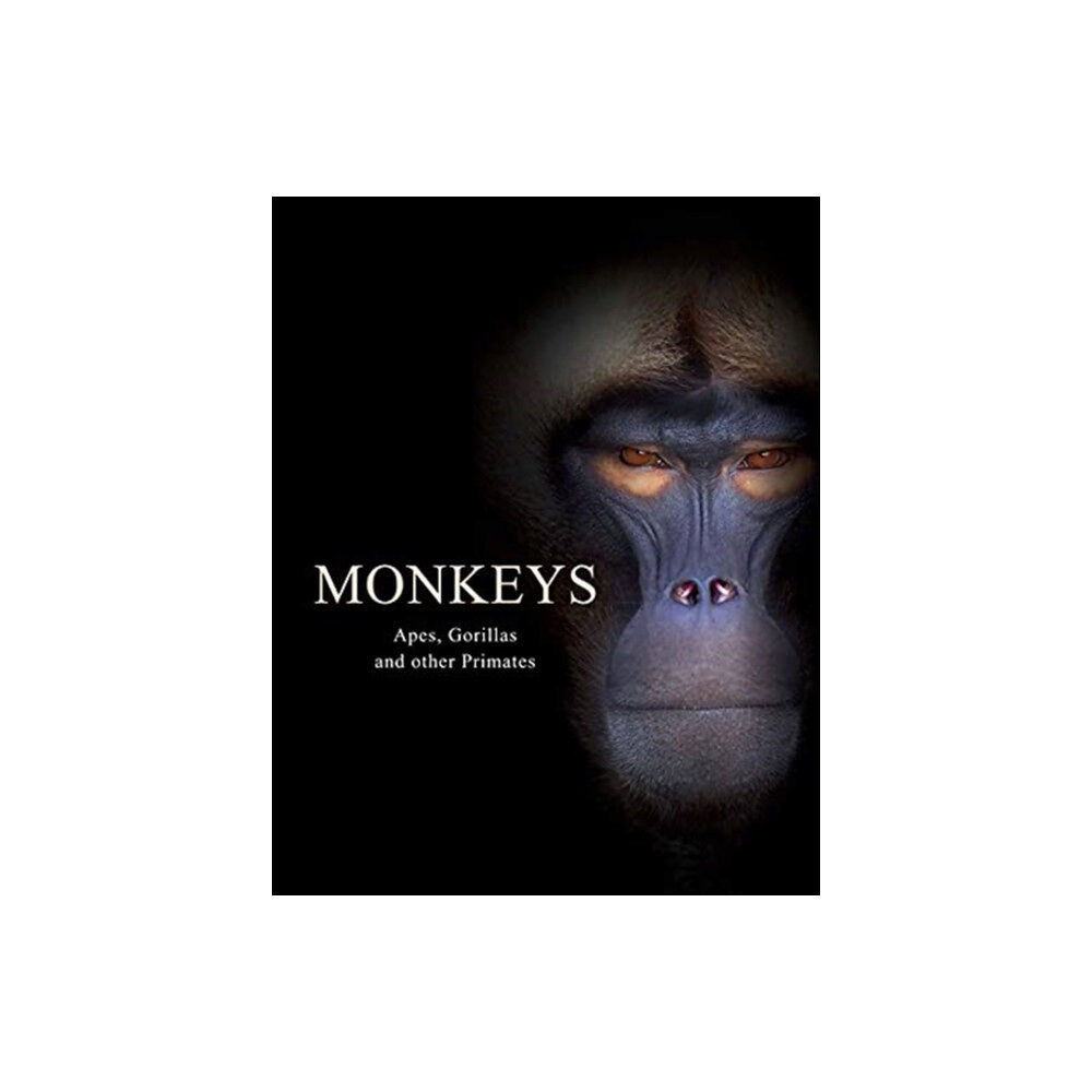 Amber Books Ltd Monkeys (inbunden, eng)