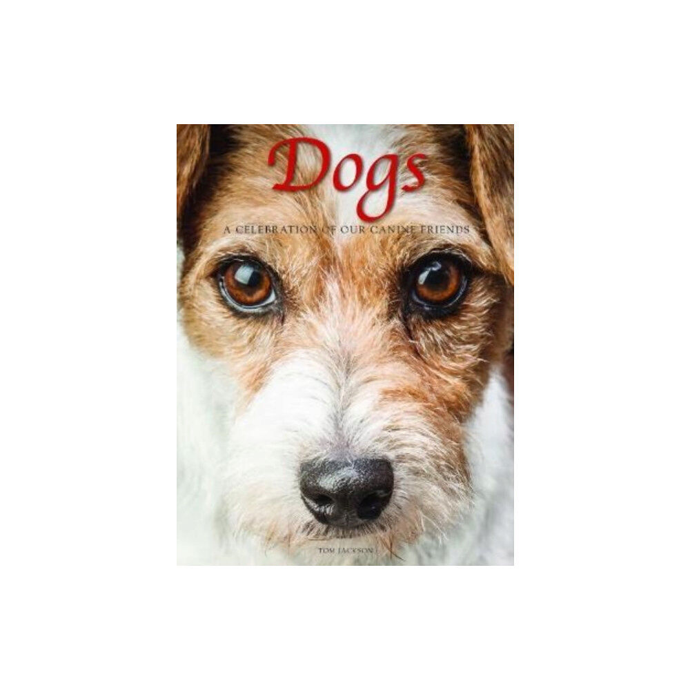 Amber Books Ltd Dogs (inbunden, eng)