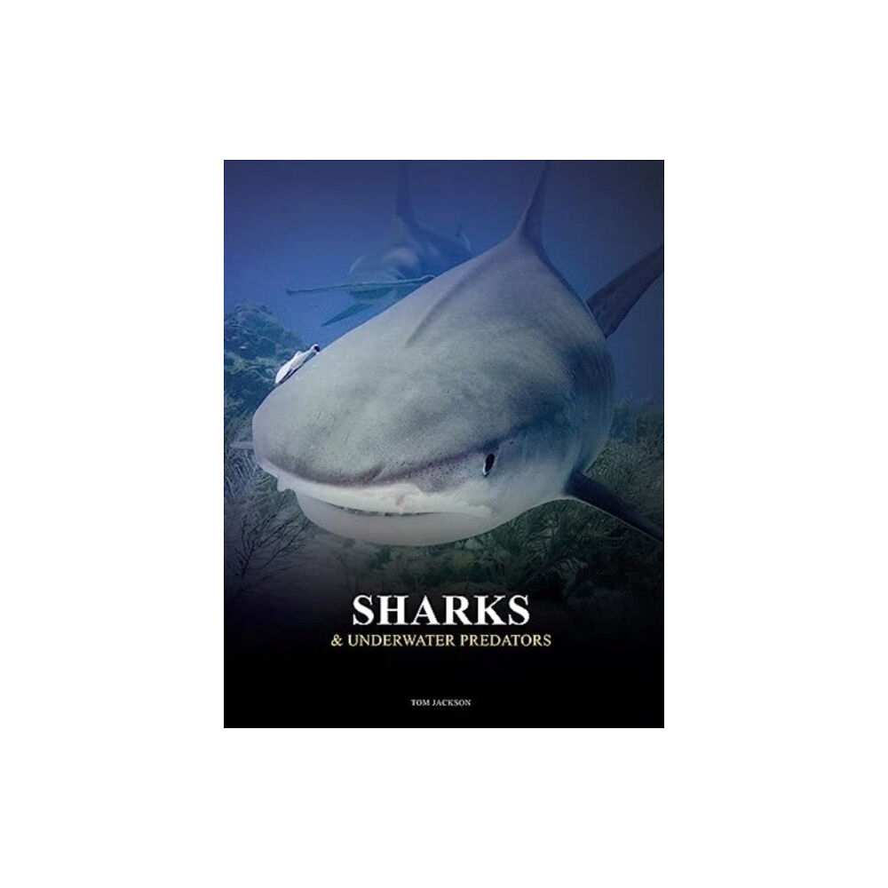 Amber Books Ltd Sharks and Underwater Predators (inbunden, eng)