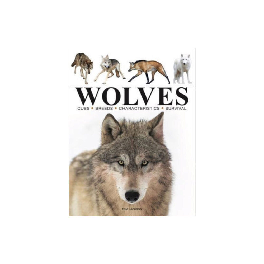 Amber Books Ltd Wolves (häftad, eng)