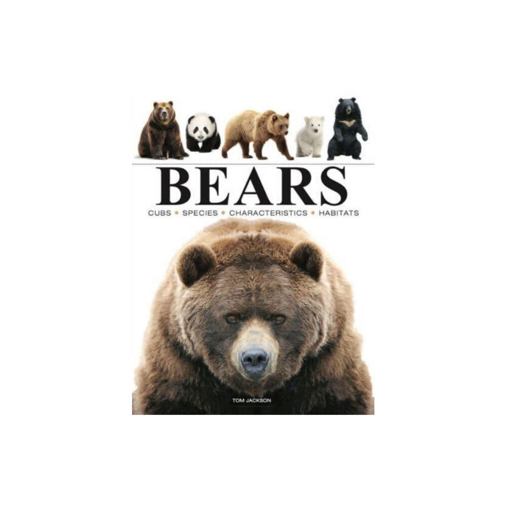 Amber Books Ltd Bears (häftad, eng)