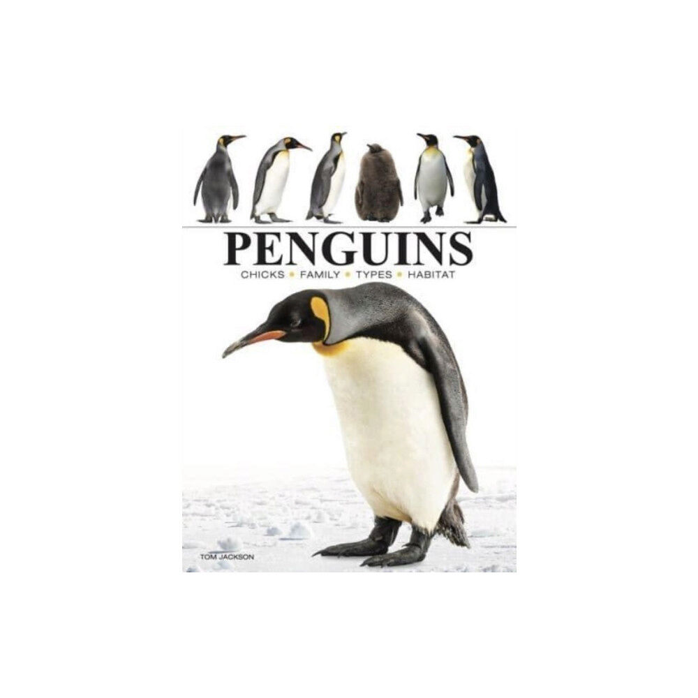 Amber Books Ltd Penguins (häftad, eng)