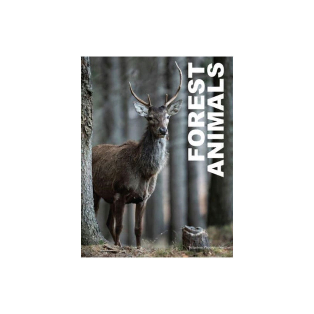 Amber Books Ltd Forest Animals (inbunden, eng)