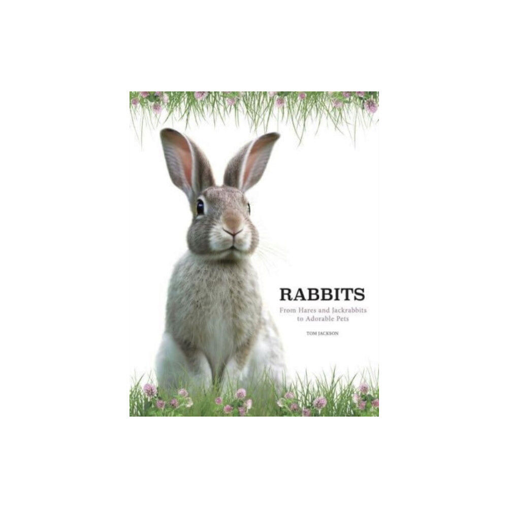 Amber Books Ltd Rabbits (inbunden, eng)