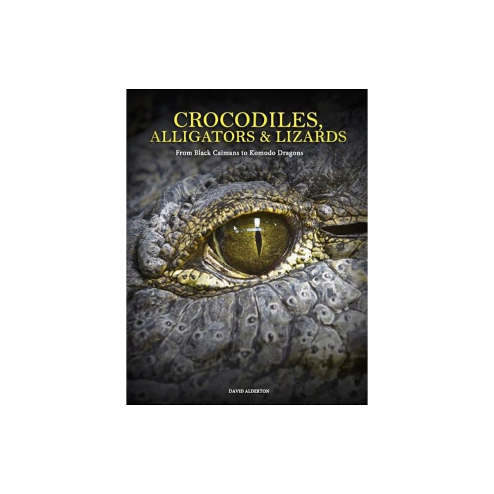 Amber Books Ltd Crocodiles, Alligators & Lizards (inbunden, eng)