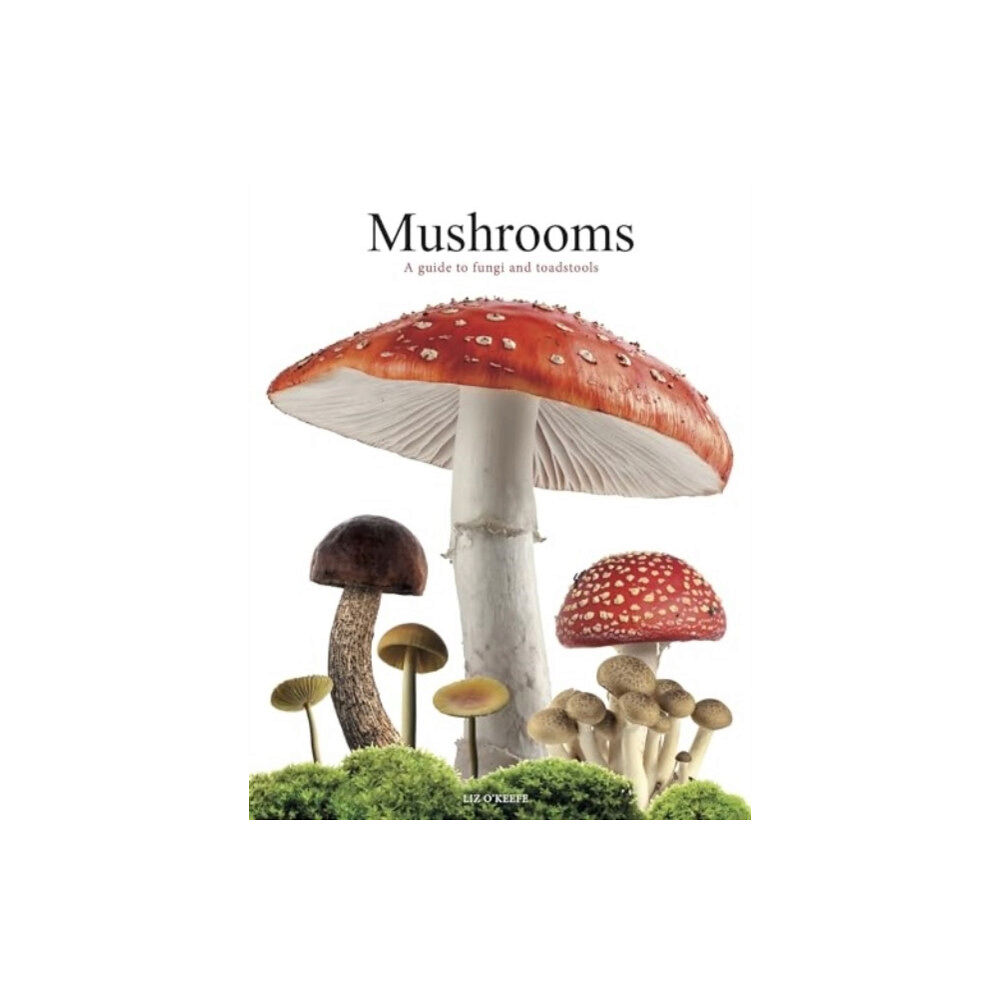 Amber Books Ltd Mushrooms (häftad, eng)