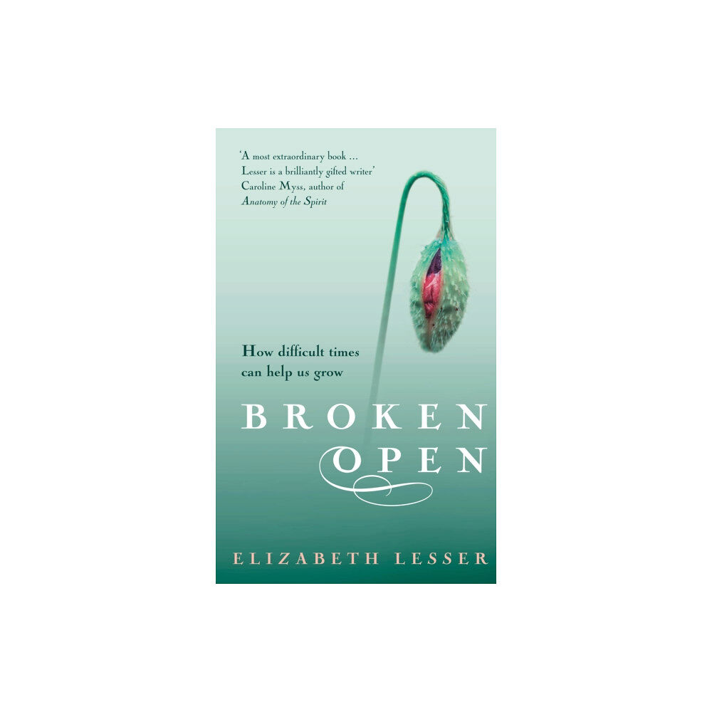 Vintage Publishing Broken Open (häftad, eng)